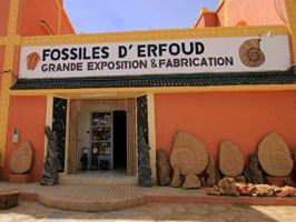 Fossile Shop in Erfoun